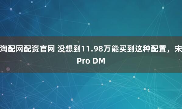 淘配网配资官网 没想到11.98万能买到这种配置，宋Pro DM