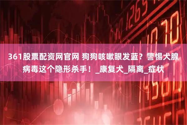 361股票配资网官网 狗狗咳嗽眼发蓝？警惕犬腺病毒这个隐形杀手！_康复犬_隔离_症状